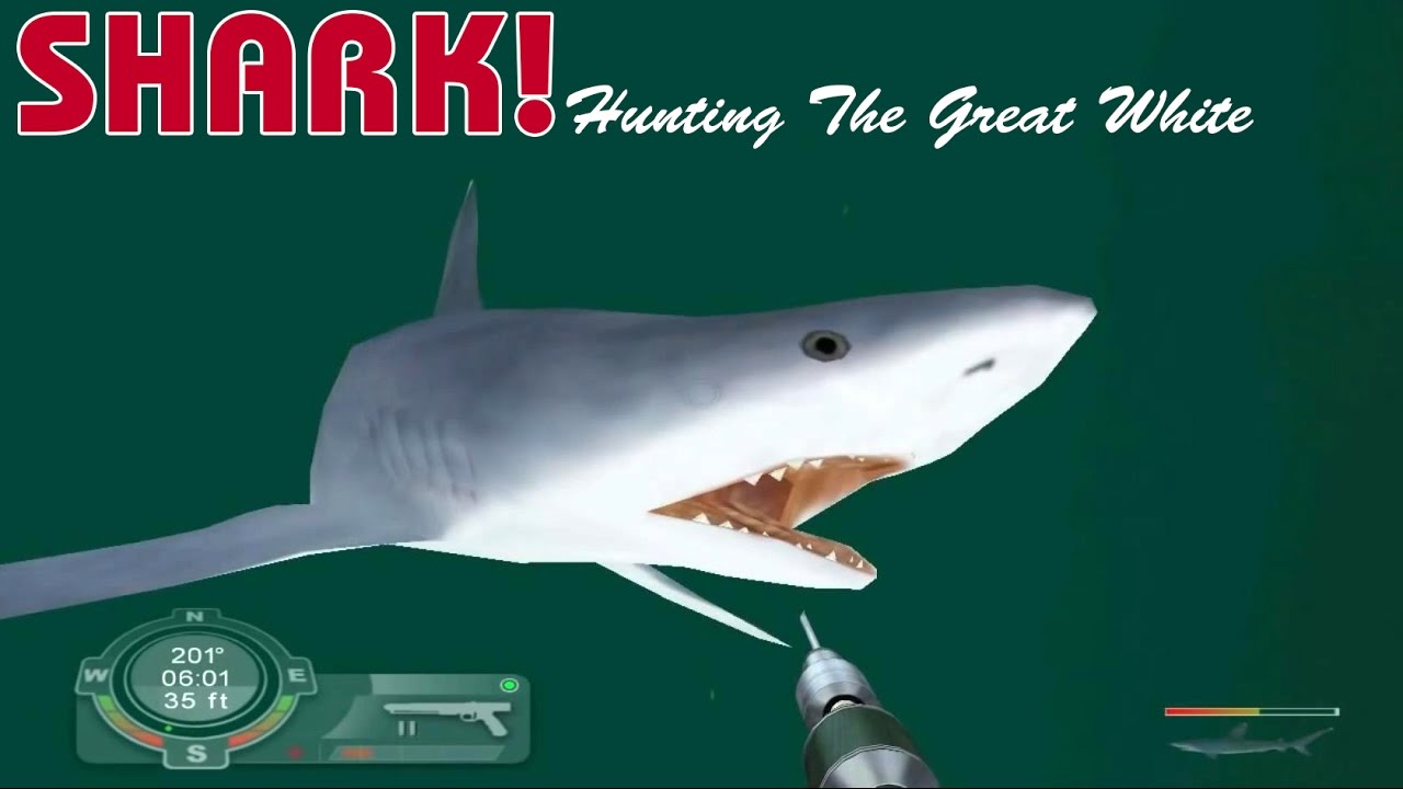 Shark! Hunting the Great White