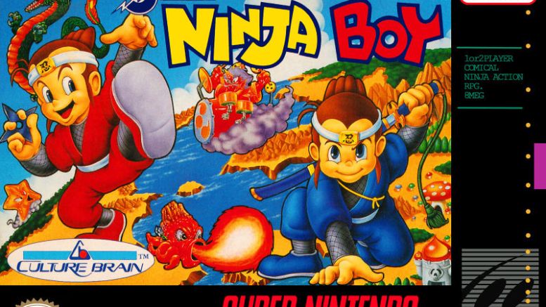 Ninja Boy II